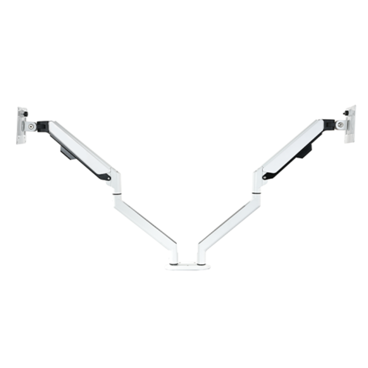 CMS3153 (2).png